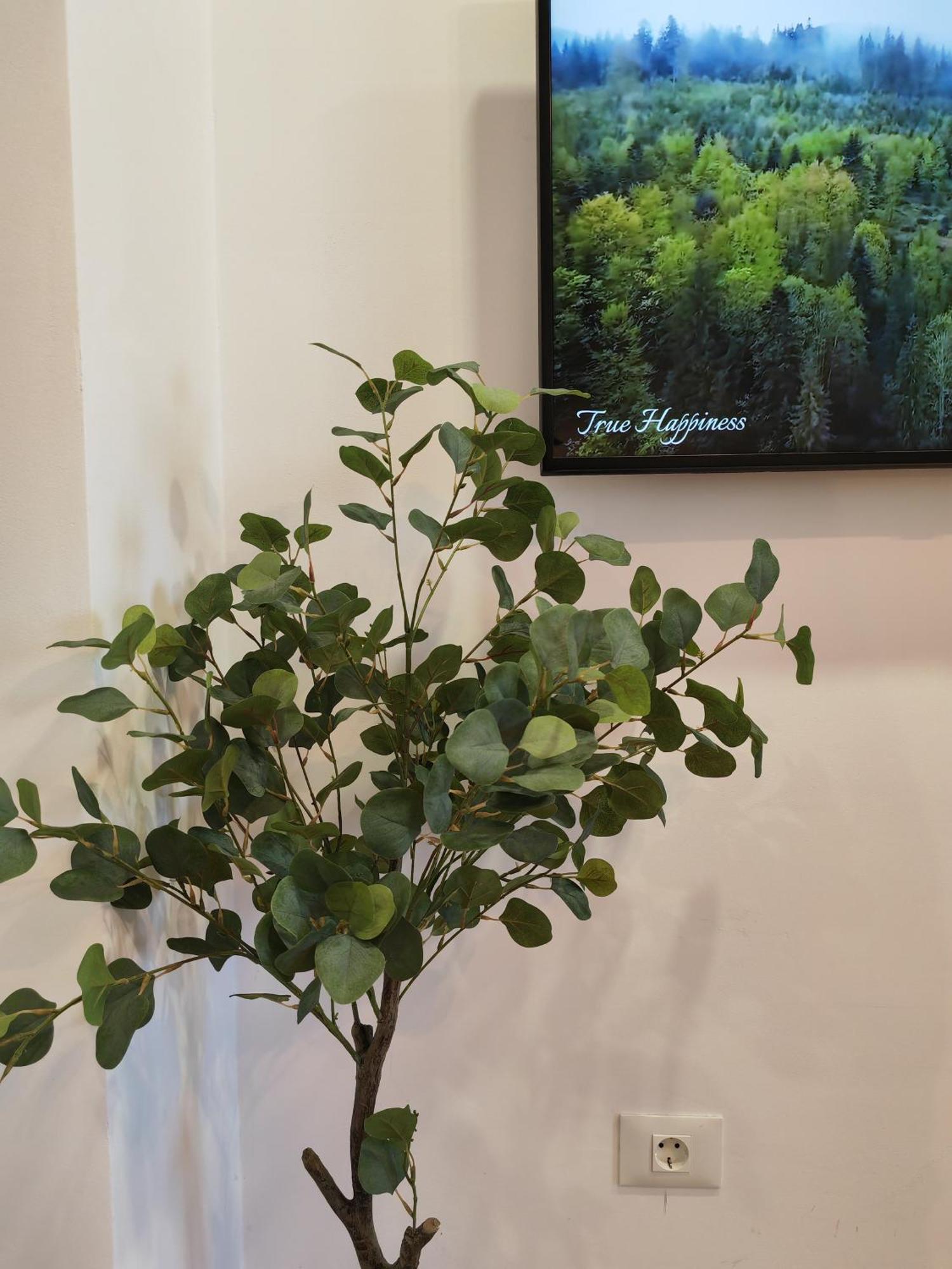 Apartament Sunset Bucharest Rebreanu Zewnętrze zdjęcie
